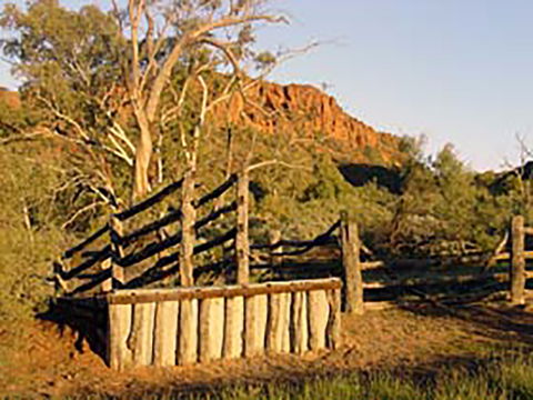Illamurta Springs Conservation Reserve - Holiday Great Ocean Road 0