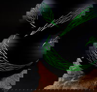 James McMurtrie's  Glass Blowing Studio and Gallery