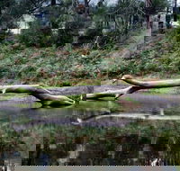 Kayaking Upper Tuross River and Bumbo Lake - Holiday Great Ocean Road