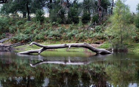 Kayaking Upper Tuross River And Bumbo Lake - Holiday Great Ocean Road 0