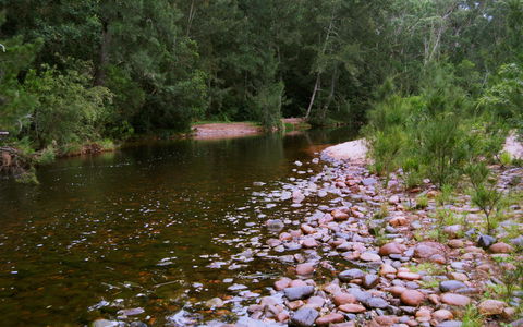 Kayaking Upper Tuross River And Bumbo Lake - Holiday Great Ocean Road 1