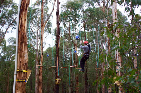 Kinglake Forest Adventures - Holiday Great Ocean Road 0