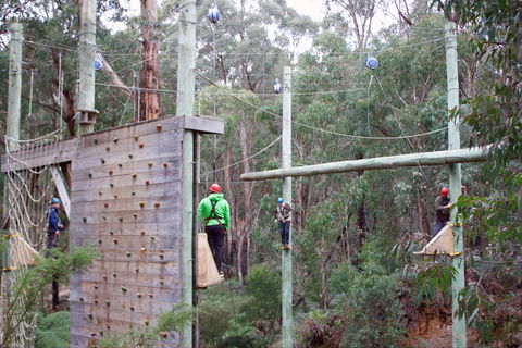 Kinglake Forest Adventures - Holiday Great Ocean Road 1