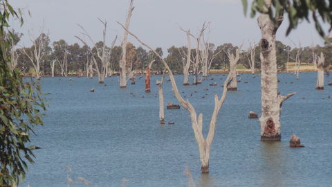 Lake Mulwala - Holiday Great Ocean Road 2
