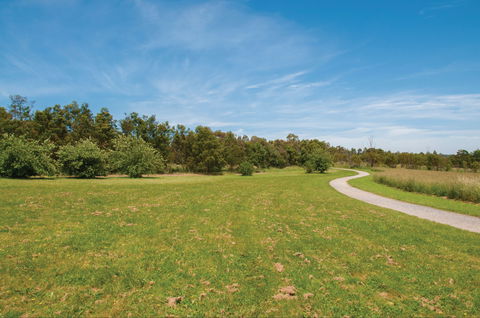 Nortons Park - Holiday Great Ocean Road 1