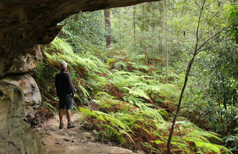 Old Great North Road Bike Ride - Holiday Great Ocean Road 0