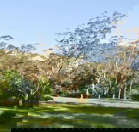 Red Cedar Flat Picnic Area - Holiday Great Ocean Road