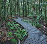 The Channon Protesters Falls Nimbin and Mount Nardi - Holiday Great Ocean Road