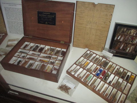 UQ Marks-Hirschfeld Museum Of Medical History - Holiday Great Ocean Road 0