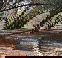 Warrego Floodplain walking track - Holiday Great Ocean Road