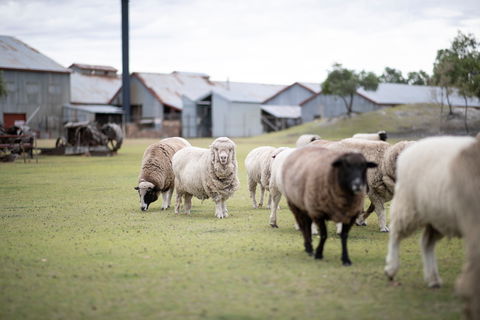 14 Day Gems Of The Outback - Holiday Great Ocean Road 2