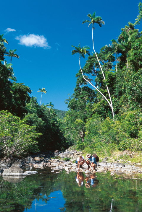 Airlie Beach To Cedar Creek Falls - Holiday Great Ocean Road 1
