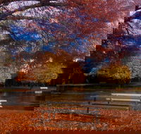 Bells Parade Reserve