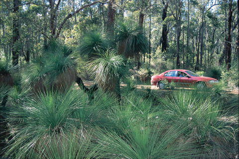 Blackwood River Tourist Drive - Holiday Great Ocean Road 2