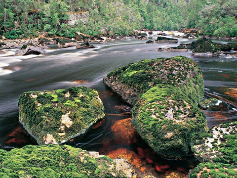 Gordon River - The - Holiday Great Ocean Road 2