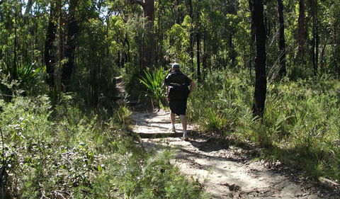 Karloo Walking Track - Holiday Great Ocean Road 0