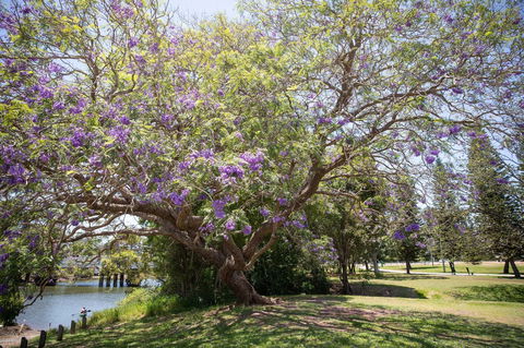 Leis Park - Holiday Great Ocean Road 0