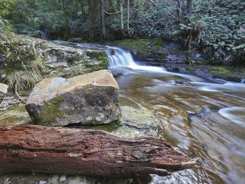 Liffey Falls Reserve - Holiday Great Ocean Road 0