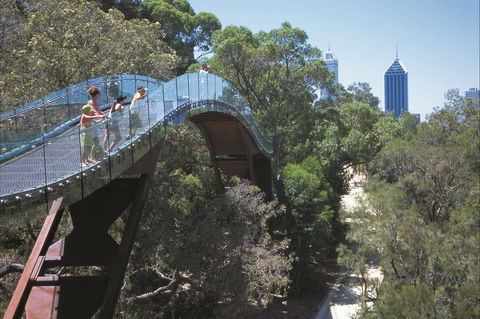 Lotterywest Federation Walkway - Kings Park - Holiday Great Ocean Road 1