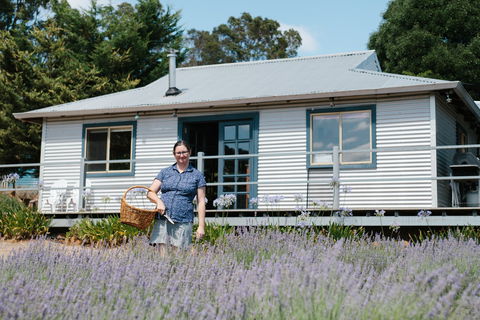 Nannup Lavender Farm - Holiday Great Ocean Road 1