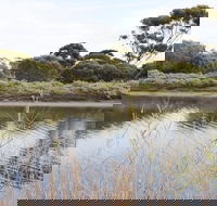 Onkaparinga River Recreation Park - Holiday Great Ocean Road