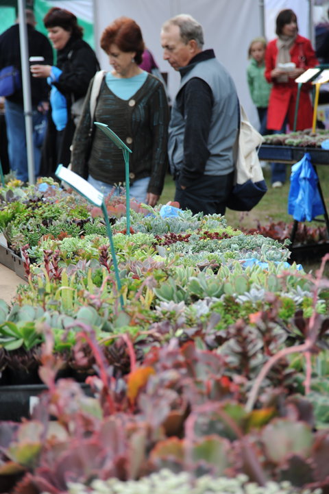 Portsea Market - Holiday Great Ocean Road 0