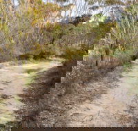 Red Rocks trig walking track - Holiday Great Ocean Road
