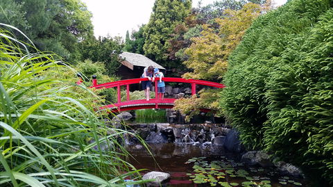 Royal Tasmanian Botanical Gardens - Holiday Great Ocean Road 1