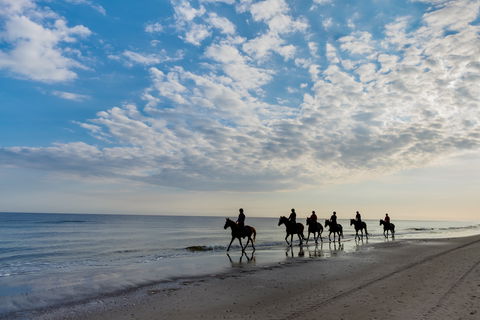 South Coast Experiences - Holiday Great Ocean Road 2