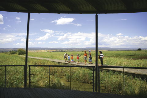 Tamar Island Wetlands Centre And Reserve - Holiday Great Ocean Road 0