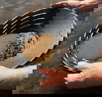 Tuena Panning for Gold - Holiday Great Ocean Road