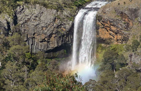 Waterfall Way Scenic Drive - Holiday Great Ocean Road 0