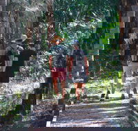 Banksia Track Burrum Coast National Park - Holiday Great Ocean Road