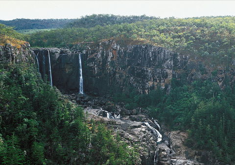 Blencoe Falls, Girringun National Park - Holiday Great Ocean Road 2