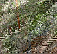 Caleys Lookout Track - Holiday Great Ocean Road