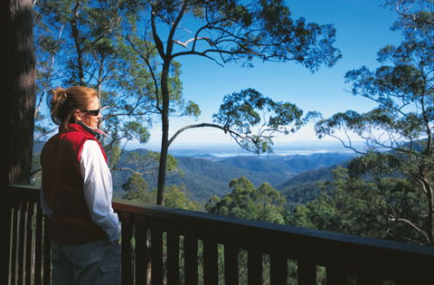 D'Aguilar National Park - Holiday Great Ocean Road 0