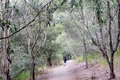 D'Aguilar National Park - Holiday Great Ocean Road 2