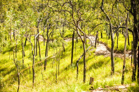 Davies Creek Mountain Bike Park - Holiday Great Ocean Road 0