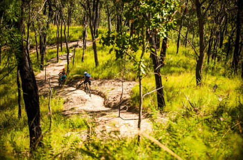 Davies Creek Mountain Bike Park - Holiday Great Ocean Road 2