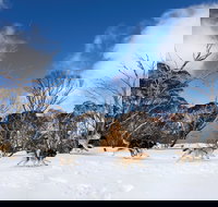 Dinner Plain - Holiday Great Ocean Road