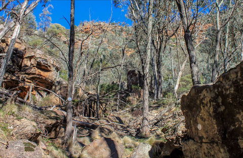 Eualdrie Walking Track - Holiday Great Ocean Road 0