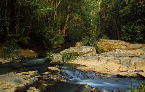 Jumrum Creek Walk, Jumrum Creek Conservation Park - Holiday Great Ocean Road 0