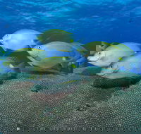 Lodestone Reef - Holiday Great Ocean Road