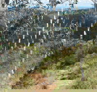 Mount Towac Walk - Holiday Great Ocean Road