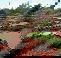 Orange Mini Golf - Holiday Great Ocean Road