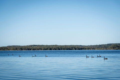 Queens Lake Picnic Area - Holiday Great Ocean Road 1