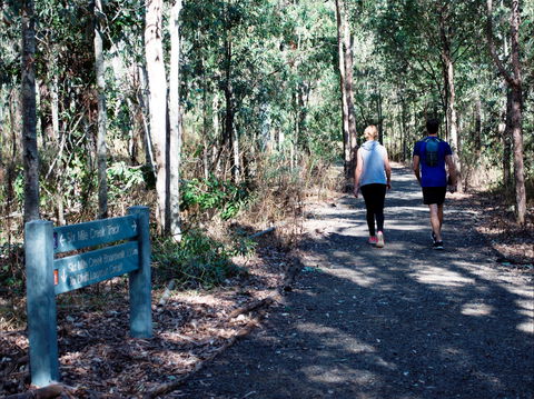 Six Mile Creek, Bluff Lookout And Little White Rock Trails - Holiday Great Ocean Road 2