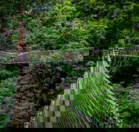 Thunderbird Park  - Tamborine Mountain Gold Coast Region - Holiday Great Ocean Road
