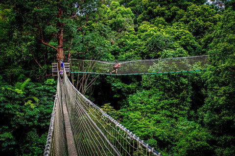 Thunderbird Park ® - Tamborine Mountain, Gold Coast Region - Holiday Great Ocean Road 0