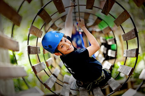 Thunderbird Park ® - Tamborine Mountain, Gold Coast Region - Holiday Great Ocean Road 1